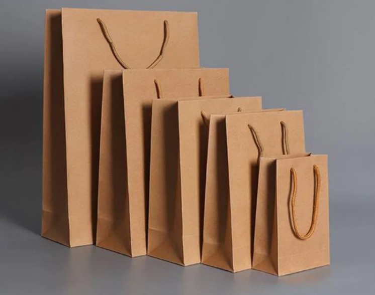 Recyclable bags with ropes